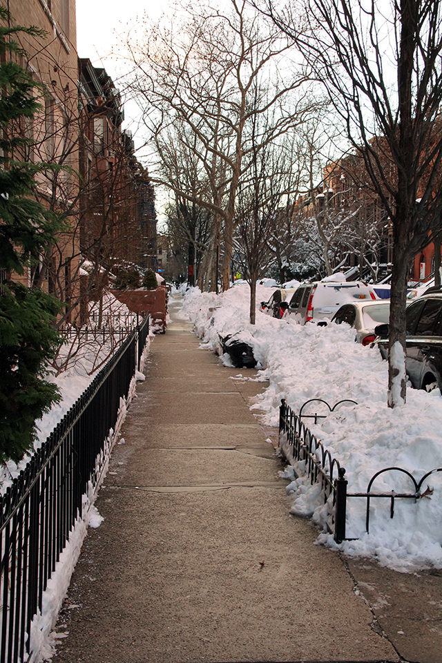 The City and US | Brooklyn: A Snow Globe