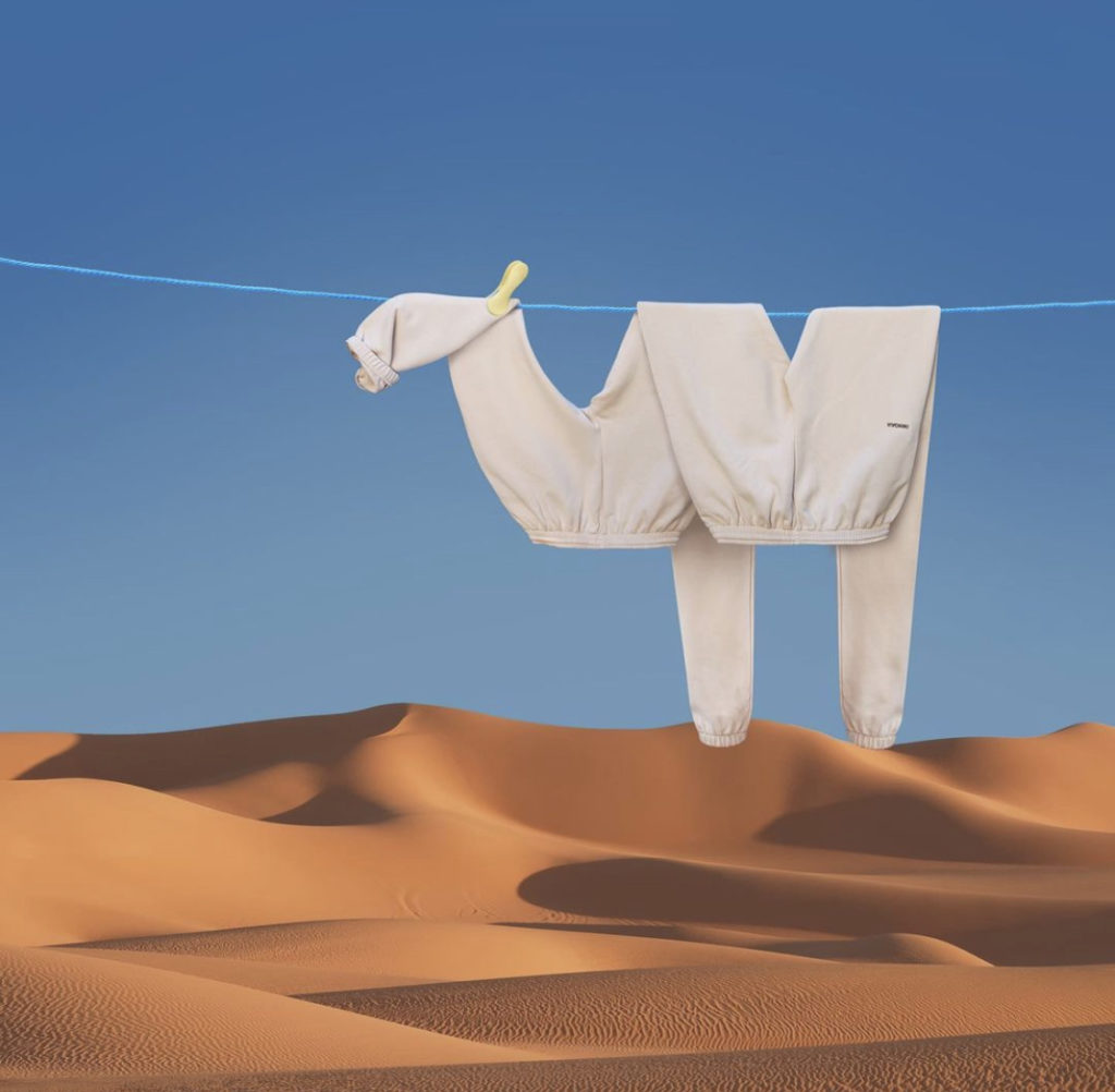 Helga Stentzel's Camel Laundry Art